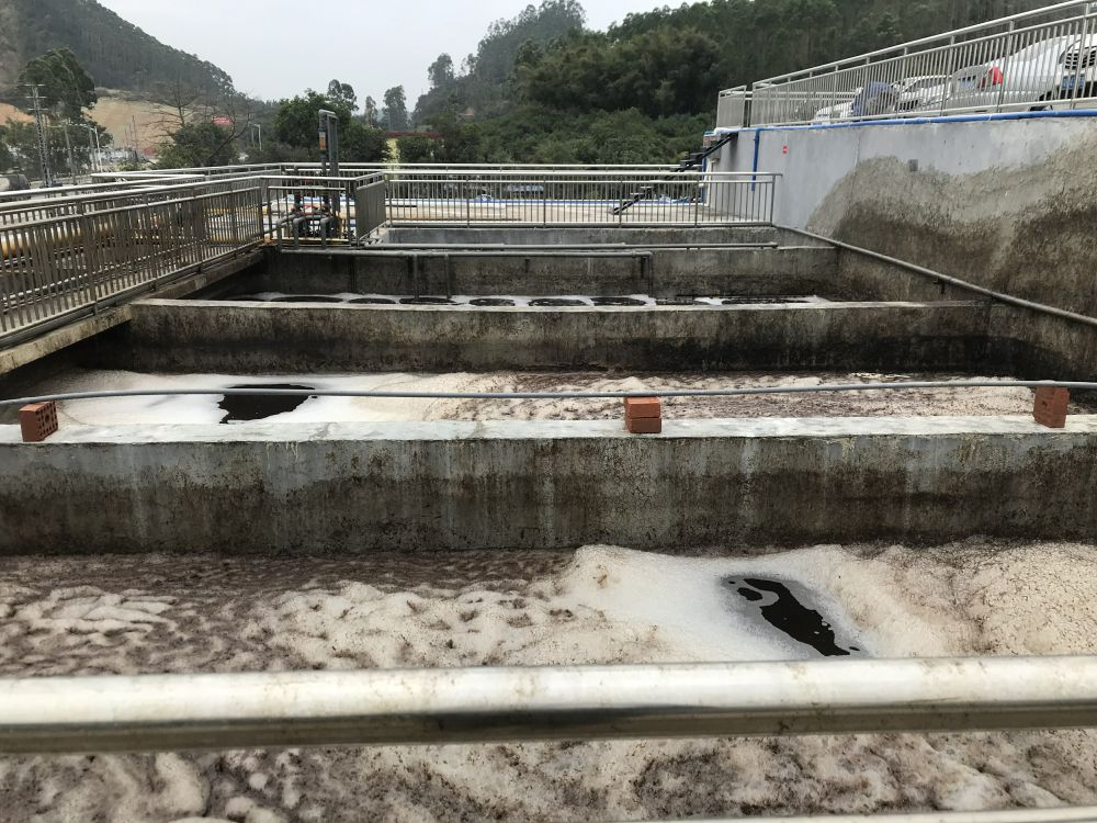 某某屠宰場項目——500t屠宰廢水處理係統