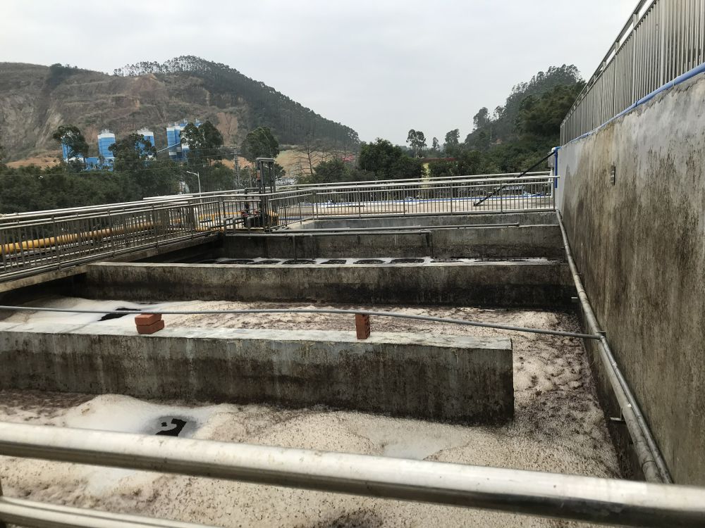 某某屠宰場項目——500t屠宰廢水處理係統